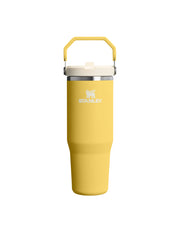 Stanley THE ICEFLOW FLIP STRAW TUMBLER | 30 OZ | 0.88 L (39)
