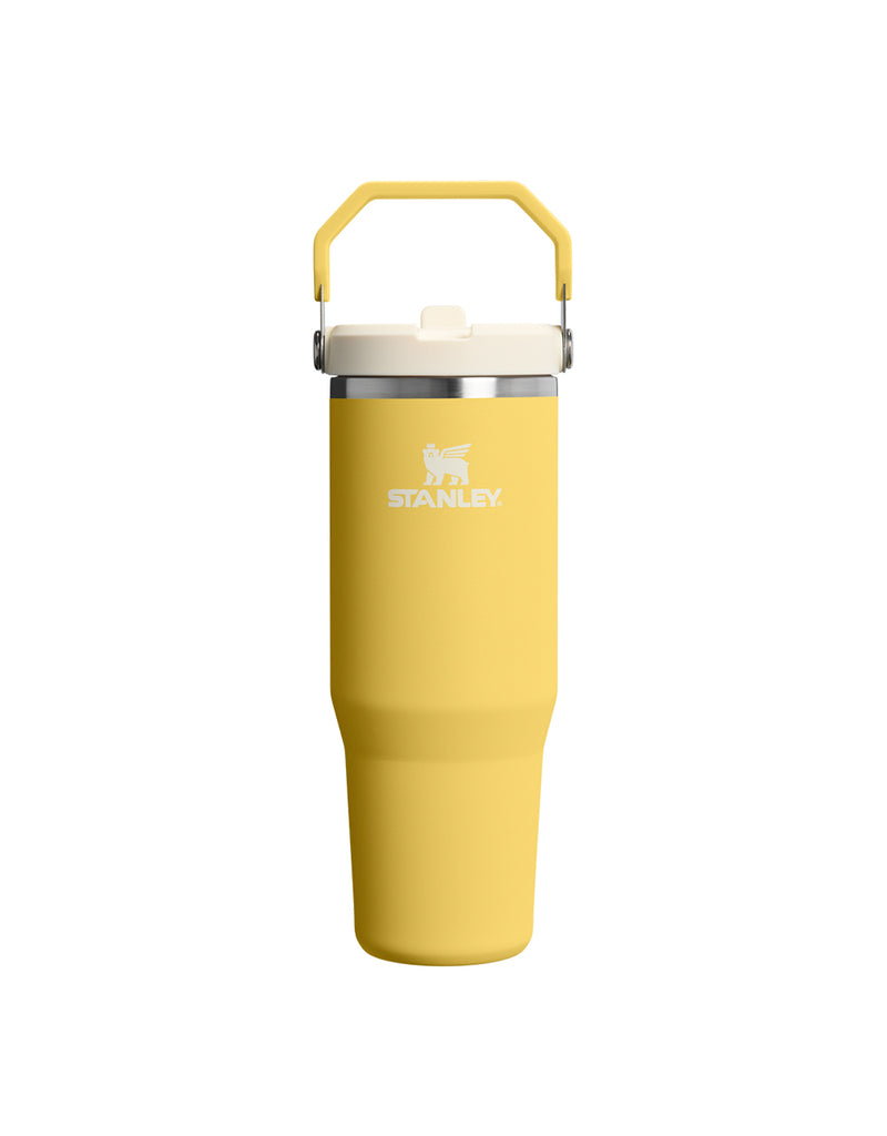 Stanley THE ICEFLOW FLIP STRAW TUMBLER | 30 OZ | 0.88 L (39)
