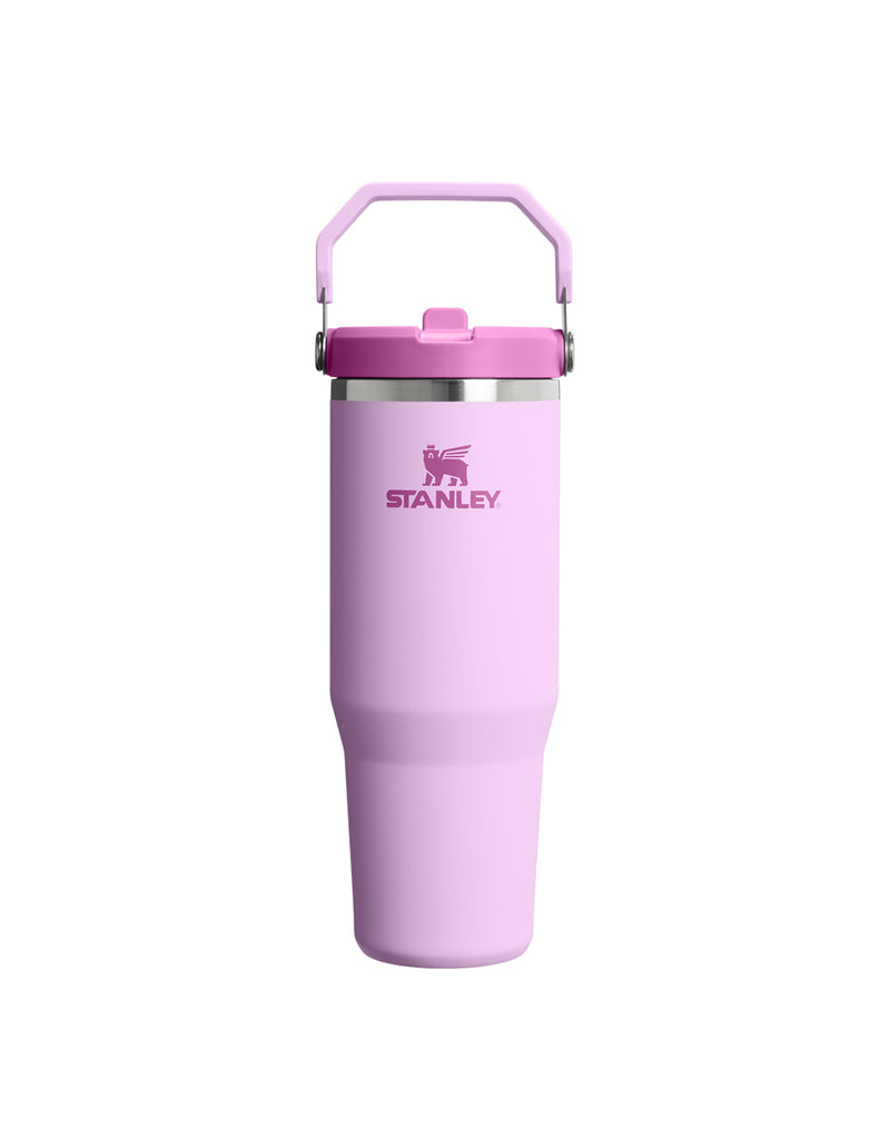 Stanley THE ICEFLOW FLIP STRAW TUMBLER | 30 OZ | 0.88 L (41)