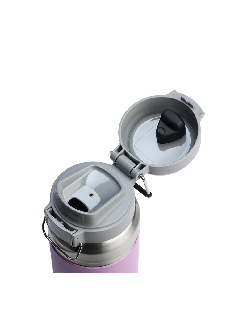 Stanley THE QUICK FLIP GO BOTTLE | 36 OZ (3)