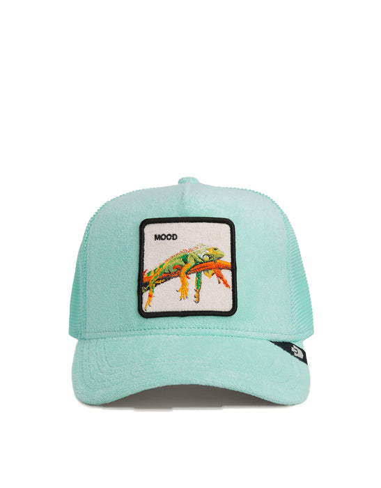 TERRY CLOTH IGUANA