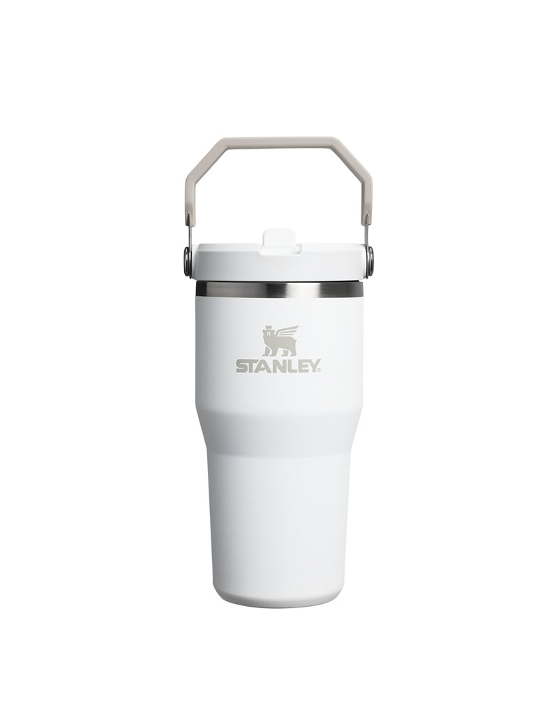 Stanley THE ICEFLOW FLIP STRAW TUMBLER | 20 OZ | 0.6 L (26)