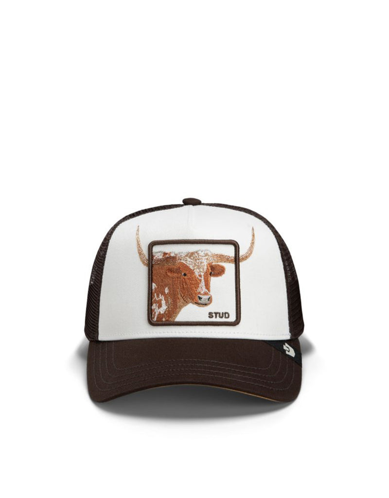 OVER THE LINE LONGHORN