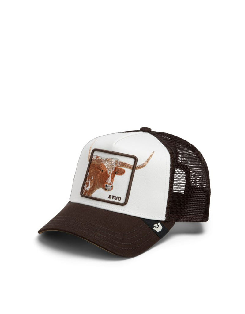 OVER THE LINE LONGHORN