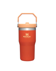 Stanley THE ICEFLOW FLIP STRAW TUMBLER | 20 OZ | 0.6 L (27)