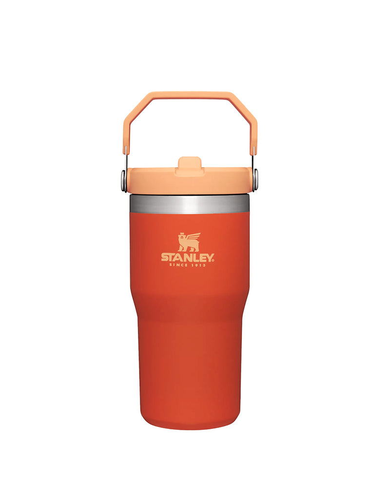 Stanley THE ICEFLOW FLIP STRAW TUMBLER | 20 OZ | 0.6 L (27)