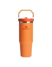 Stanley THE ICEFLOW FLIP STRAW TUMBLER | 30 OZ | 0.88 L (31)