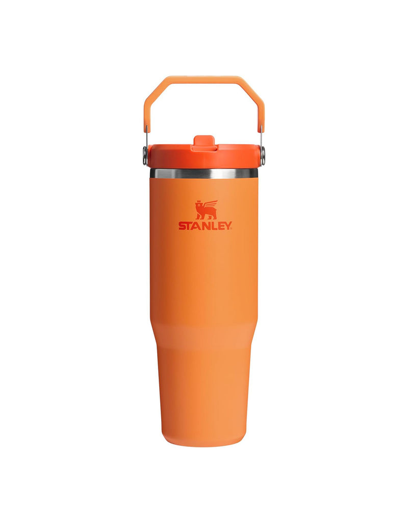 Stanley THE ICEFLOW FLIP STRAW TUMBLER | 30 OZ | 0.88 L (31)