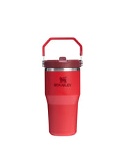 Stanley THE ICEFLOW FLIP STRAW TUMBLER | 20 OZ | 0.6 L (24)
