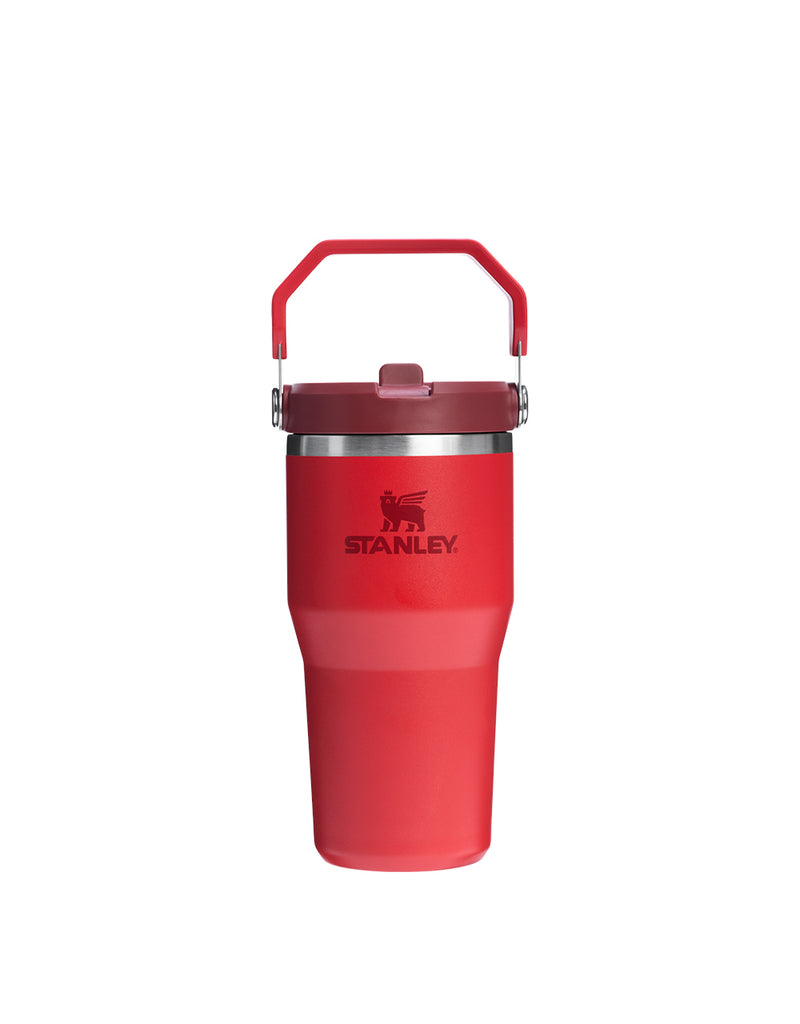 Stanley THE ICEFLOW FLIP STRAW TUMBLER | 20 OZ | 0.6 L (24)