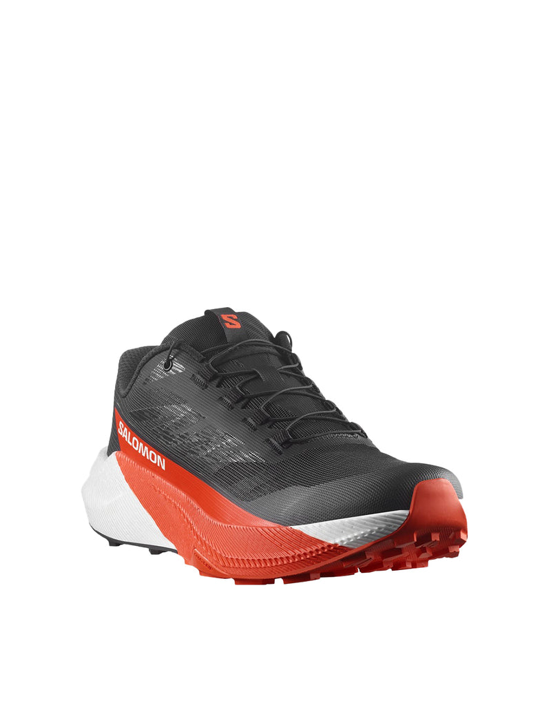 Salomon PULSAR M (3)