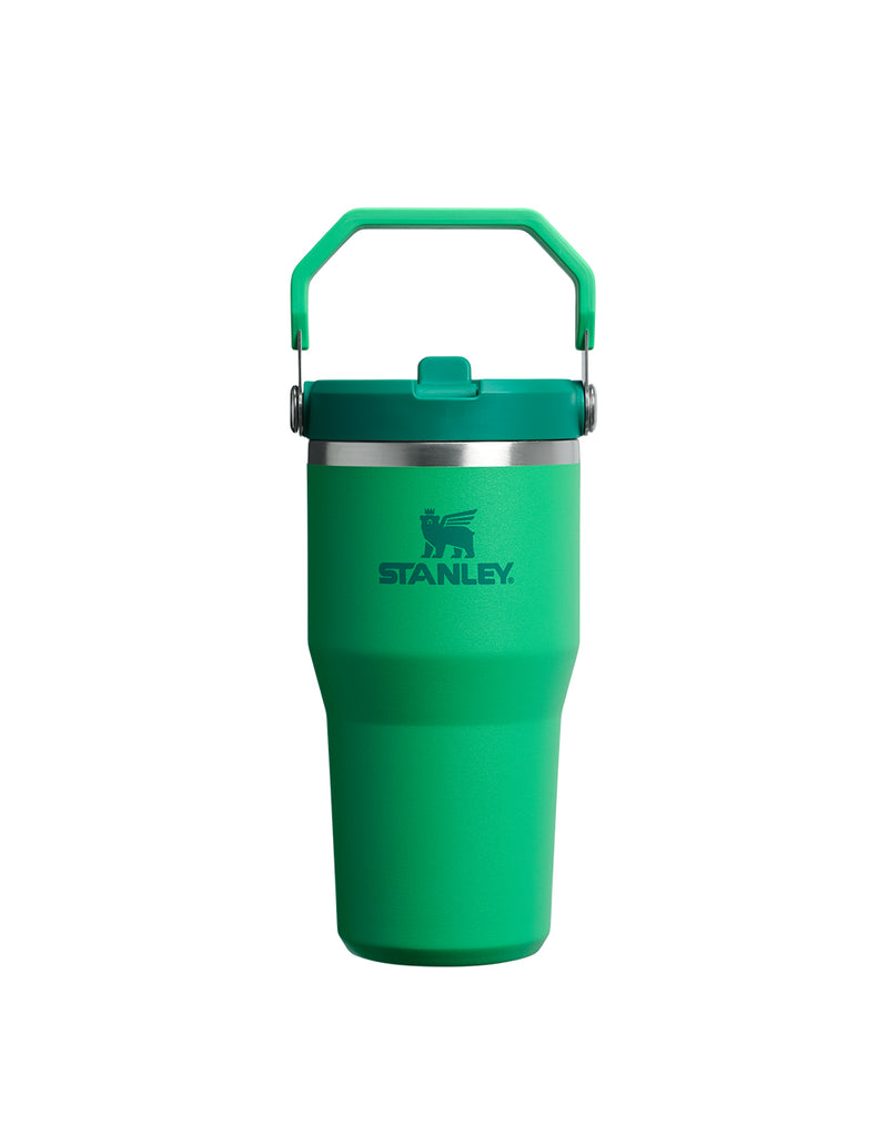 Stanley THE ICEFLOW FLIP STRAW TUMBLER | 20 OZ | 0.6 L (28)