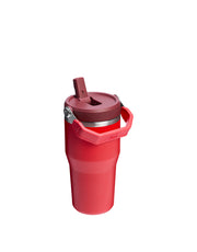 Stanley THE ICEFLOW FLIP STRAW TUMBLER | 20 OZ | 0.6 L (25)