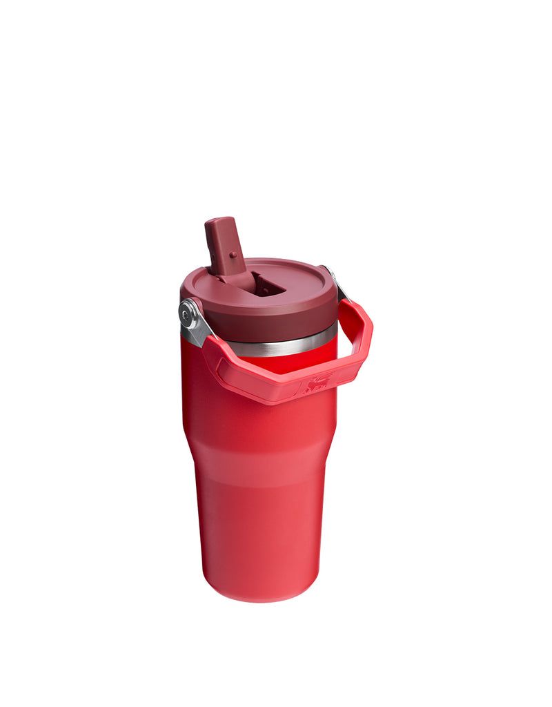 Stanley THE ICEFLOW FLIP STRAW TUMBLER | 20 OZ | 0.6 L (25)