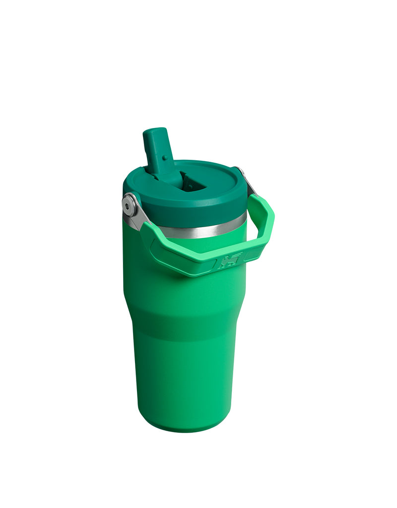 Stanley THE ICEFLOW FLIP STRAW TUMBLER | 20 OZ | 0.6 L (29)