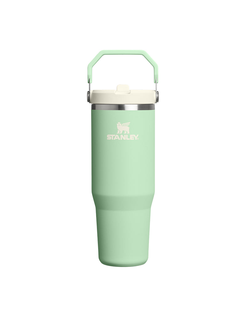 Stanley THE ICEFLOW FLIP STRAW TUMBLER | 30 OZ | 0.88 L (34)