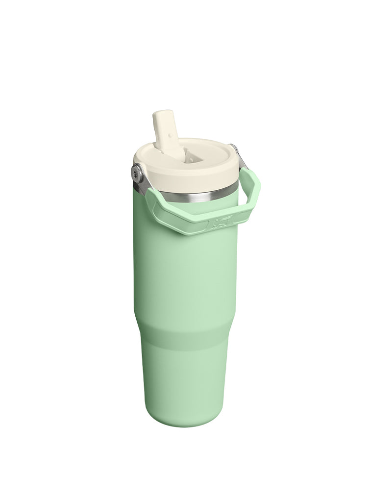Stanley THE ICEFLOW FLIP STRAW TUMBLER | 30 OZ | 0.88 L (35)