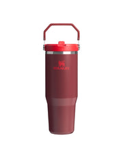 Stanley THE ICEFLOW FLIP STRAW TUMBLER | 30 OZ | 0.88 L (36)