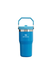 Stanley THE ICEFLOW FLIP STRAW TUMBLER | 20 OZ | 0.6 L (23)