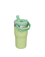 Stanley THE ICEFLOW FLIP STRAW TUMBLER | 20 OZ | 0.6 L (19)