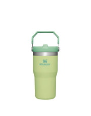 Stanley THE ICEFLOW FLIP STRAW TUMBLER | 20 OZ | 0.6 L (18)