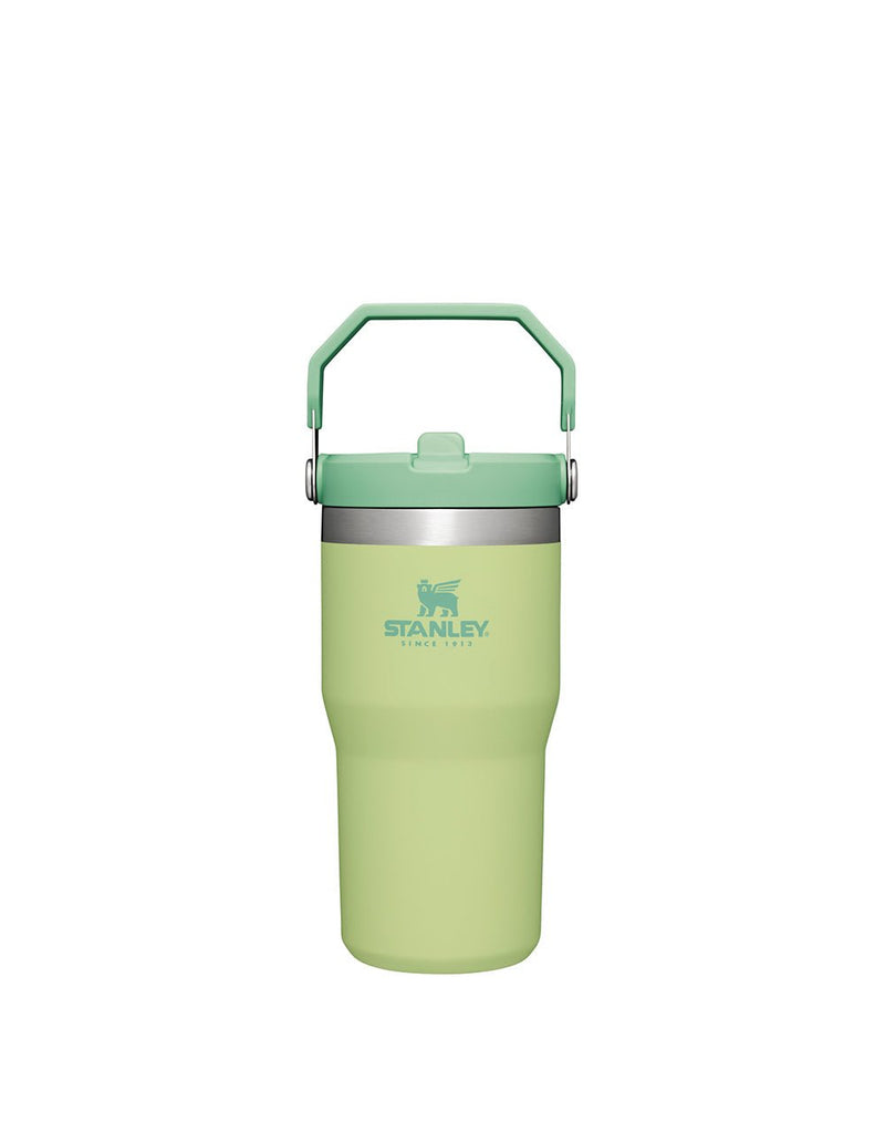 Stanley THE ICEFLOW FLIP STRAW TUMBLER | 20 OZ | 0.6 L (18)