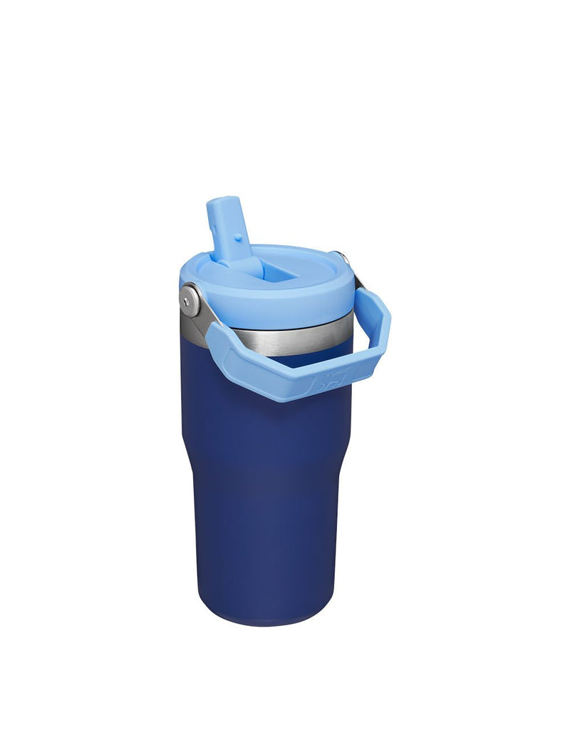 Stanley THE ICEFLOW FLIP STRAW TUMBLER | 20 OZ | 0.6 L (21)