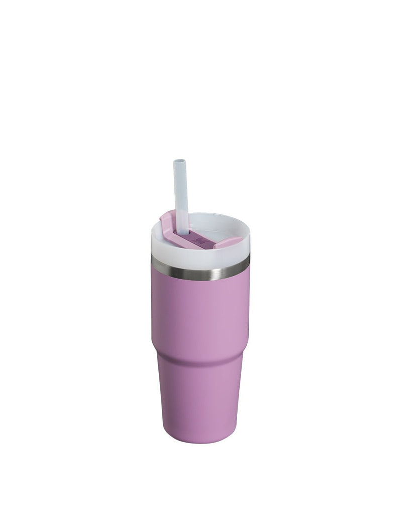 Stanley THE QUENCHER H2.0 FLOWSTATE™ TUMBLER | 20 OZ | 0.6 L (10)