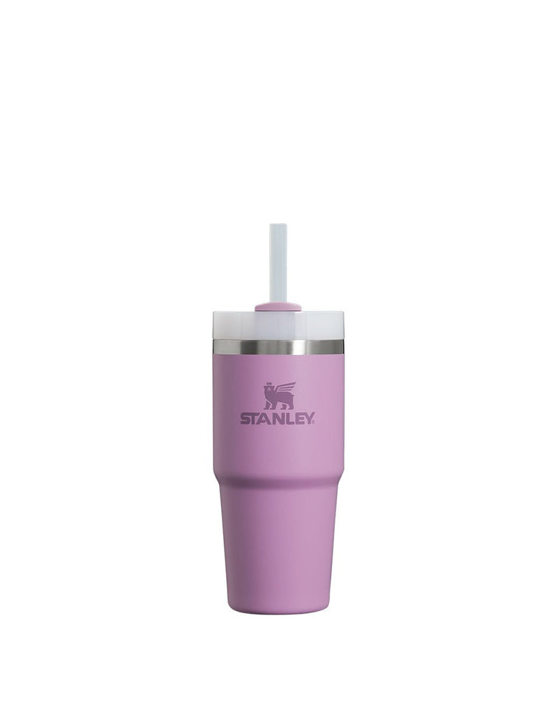 Stanley THE QUENCHER H2.0 FLOWSTATE™ TUMBLER | 20 OZ | 0.6 L (9)
