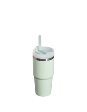 Stanley THE QUENCHER H2.0 FLOWSTATE™ TUMBLER | 20 OZ | 0.6 L (13)