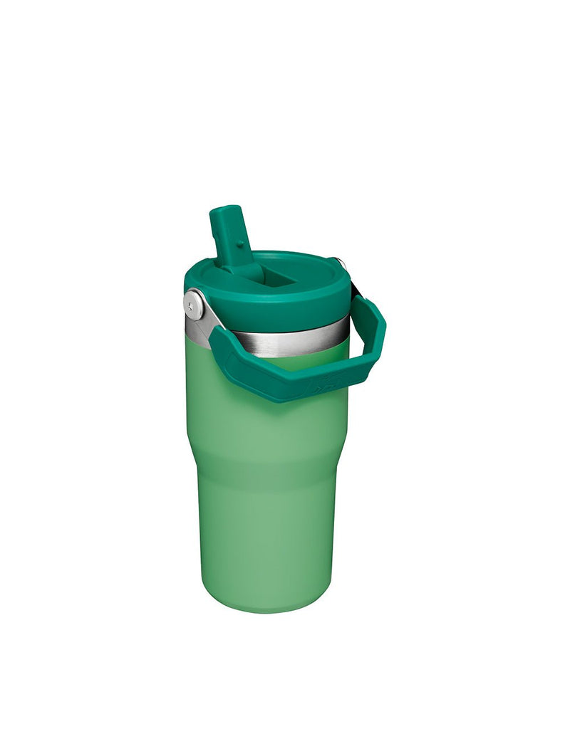 Stanley THE ICEFLOW FLIP STRAW TUMBLER | 20 OZ | 0.6 L (8)