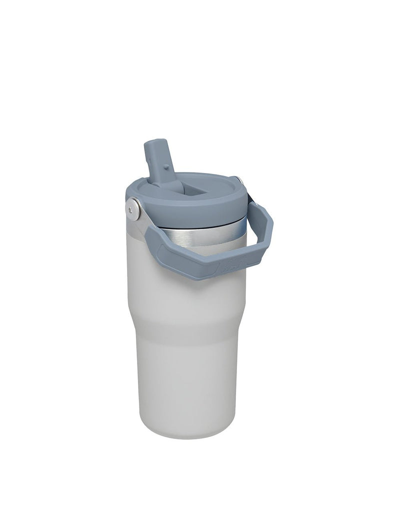 Stanley THE ICEFLOW FLIP STRAW TUMBLER | 20 OZ | 0.6 L (5)