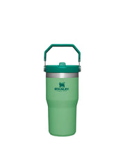 Stanley THE ICEFLOW FLIP STRAW TUMBLER | 20 OZ | 0.6 L (7)