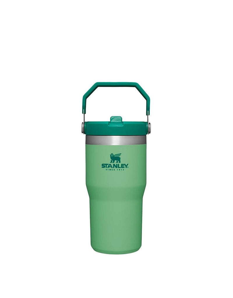 Stanley THE ICEFLOW FLIP STRAW TUMBLER | 20 OZ | 0.6 L (7)