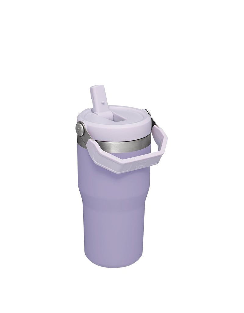 Stanley THE ICEFLOW FLIP STRAW TUMBLER | 20 OZ | 0.6 L (11)