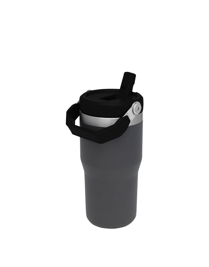 Stanley THE ICEFLOW FLIP STRAW TUMBLER | 20 OZ | 0.6 L (2)