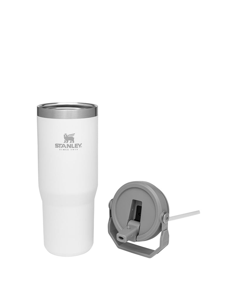 Stanley THE ICEFLOW FLIP STRAW TUMBLER | 30 OZ | 0.88 L (19)