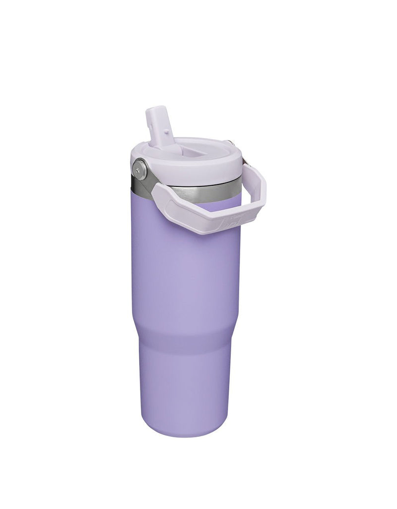 Stanley THE ICEFLOW FLIP STRAW TUMBLER | 30 OZ | 0.88 L (16)