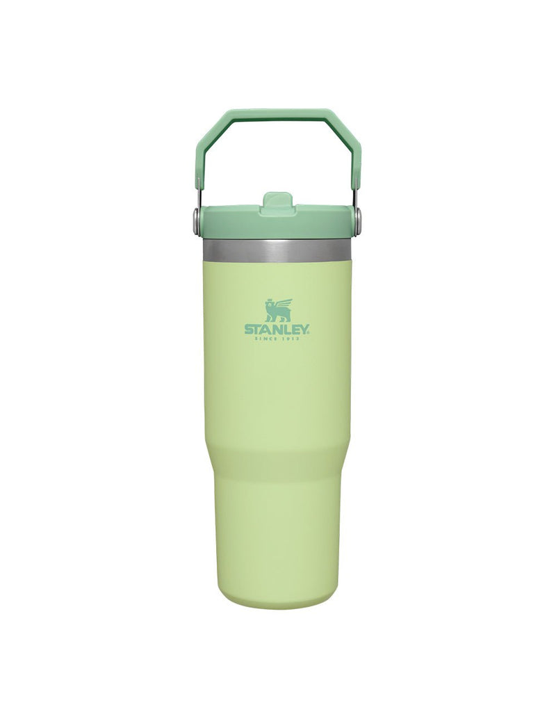 Stanley THE ICEFLOW FLIP STRAW TUMBLER | 30 OZ | 0.88 L (7)