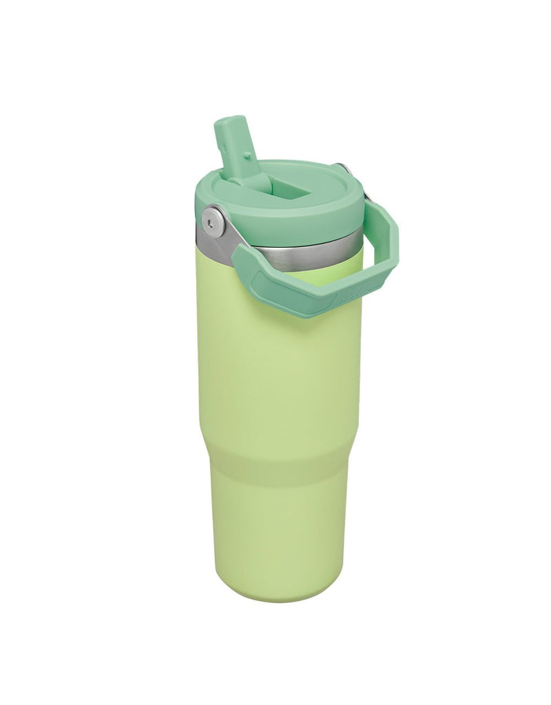 Stanley THE ICEFLOW FLIP STRAW TUMBLER | 30 OZ | 0.88 L (8)