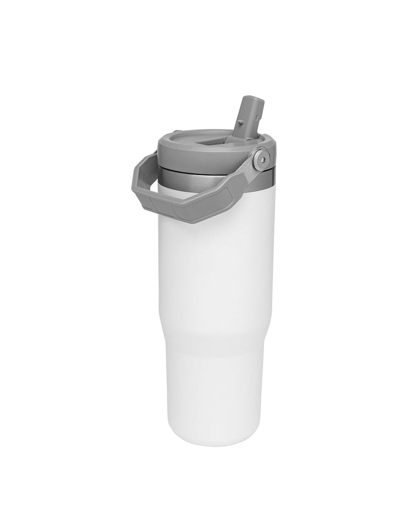 Stanley THE ICEFLOW FLIP STRAW TUMBLER | 30 OZ | 0.88 L (20)