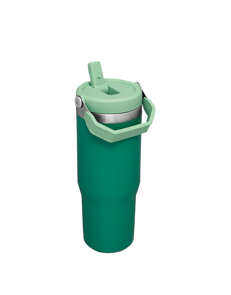 Stanley THE ICEFLOW FLIP STRAW TUMBLER | 30 OZ | 0.88 L (2)