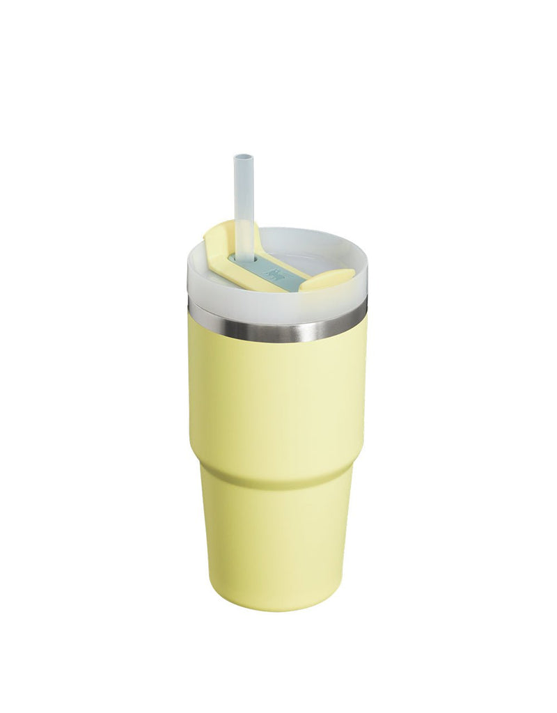 Stanley THE QUENCHER H2.0 FLOWSTATE™ TUMBLER | 20 OZ | 0.6 L (7)